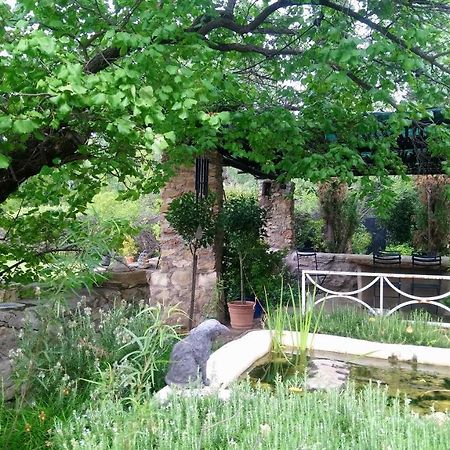 Smithfield Black Cottage מראה חיצוני תמונה